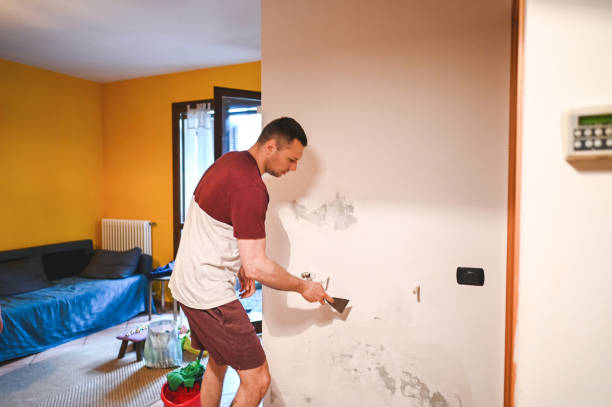 Best Mold Removal Near Me  in Douglass, KS