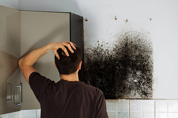 Best Local Mold Removal Service  in Douglass, KS