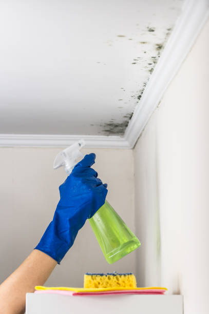 Best Water Damage Restoration  in Douglass, KS